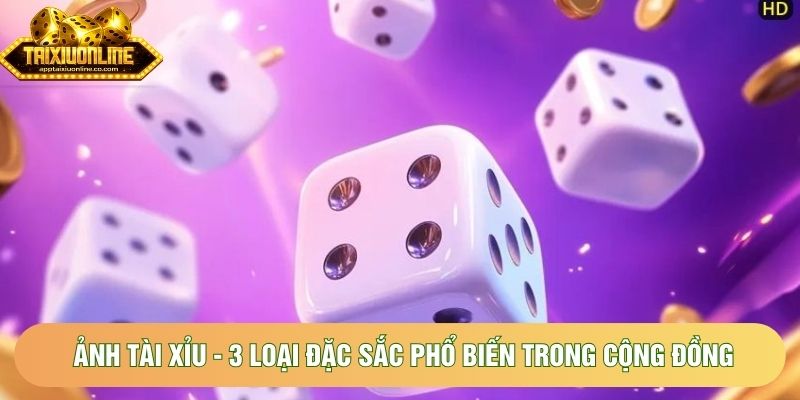 Ảnh Tài Xỉu - 3 Loại Đặc Sắc Phổ Biến Trong Cộng Đồng