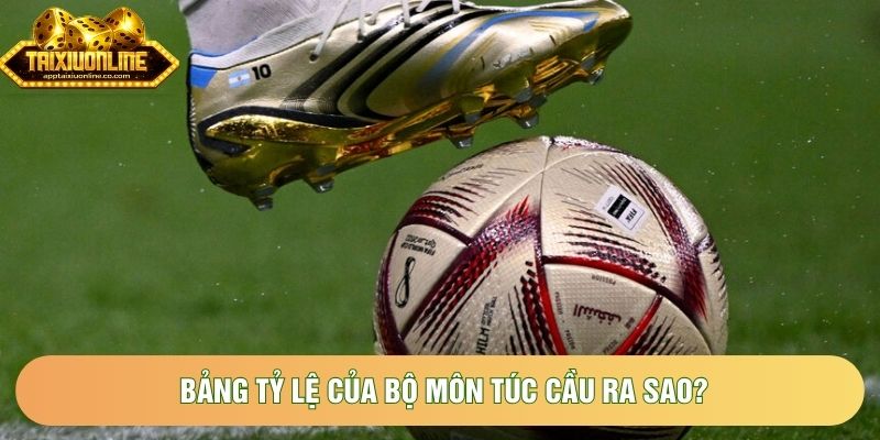 Bảng tỷ lệ của bộ môn túc cầu ra sao?