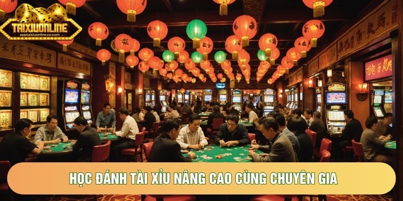 Học đánh tài xỉu nâng cao cùng chuyên gia