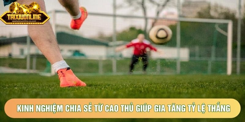 Kinh nghiệm chia sẻ từ cao thủ giúp gia tăng tỷ lệ thắng