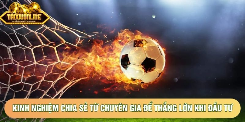 Kinh nghiệm chia sẻ từ chuyên gia để thắng lớn khi đầu tư